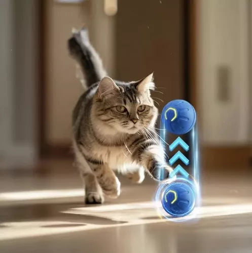 Pelota Magica para  Perros y  Gatos